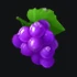 grape symbol